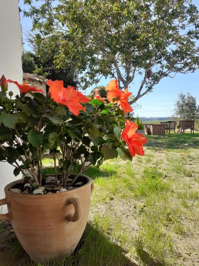 ***** Quinta Do Por Do Sol ***** Leilighet Figueira da Foz Eksteriør bilde
