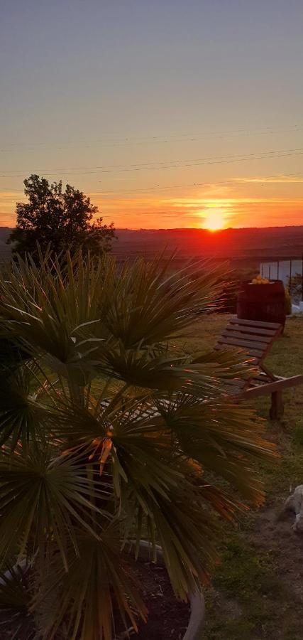 ***** Quinta Do Por Do Sol ***** Leilighet Figueira da Foz Eksteriør bilde